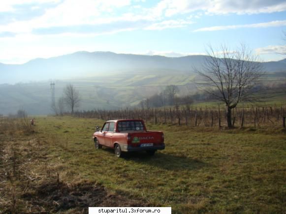Pe langa Piatra Neamt - La curatat de vie - POZE