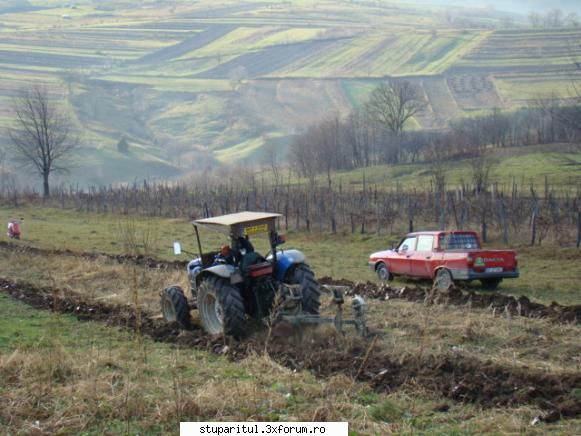 Pe langa Piatra Neamt - kmkm - POZE