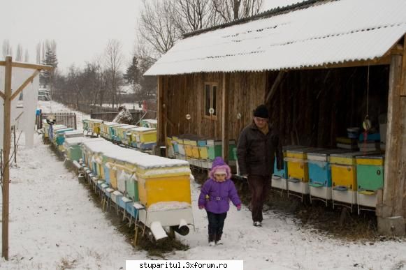 Pe langa Piatra Neamt - O plimbare prin stupina unui bun prieten impreuna - POZE