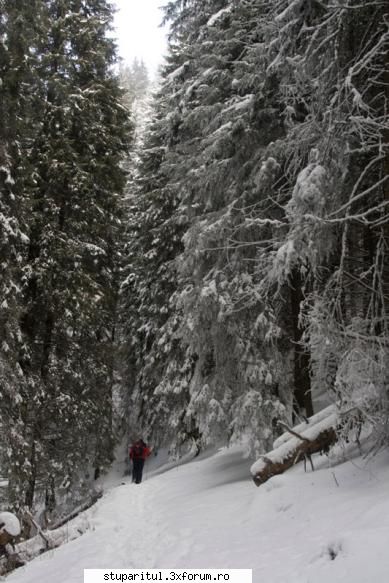 Pe langa Piatra Neamt - iarna pe Ceahlau - POZE