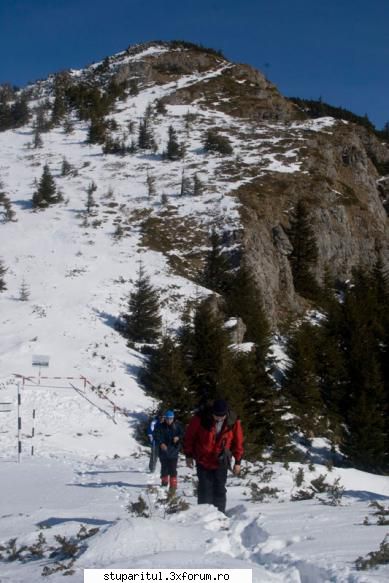 Pe langa Piatra Neamt - mosneagu - POZE