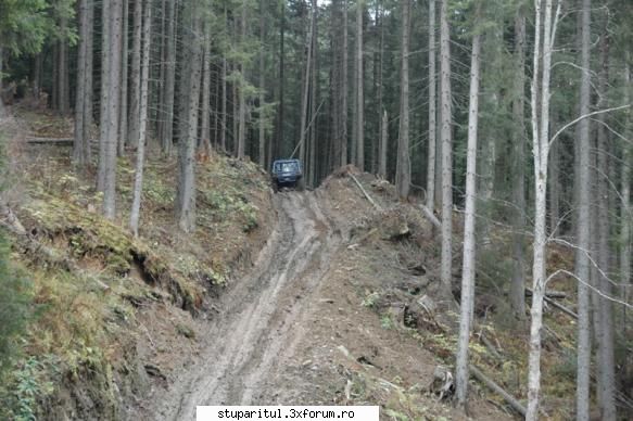 Pe langa Piatra Neamt - kmkm - POZE