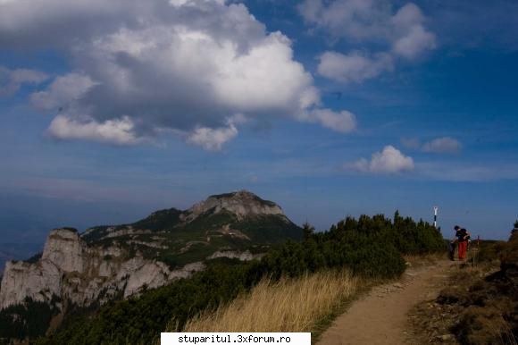 Pe langa Piatra Neamt - mosneagu - POZE