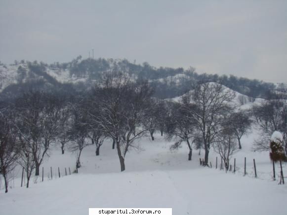 Pe langa Piatra Neamt - kmkm - POZE