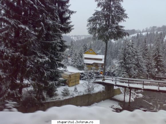 Pe langa Piatra Neamt - Si ceva cherestea - POZE