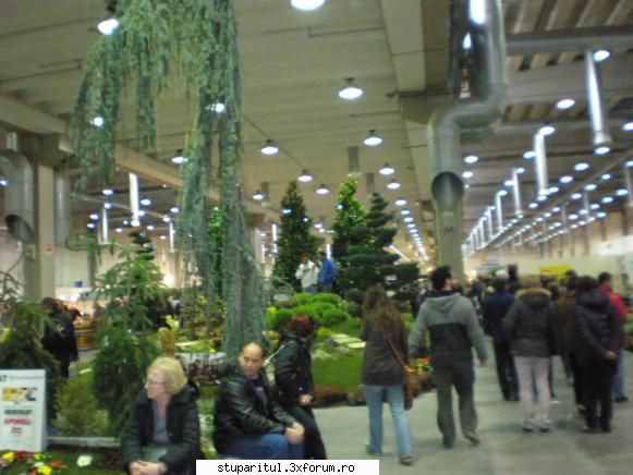 Piacenza - Nicolaus - POZE