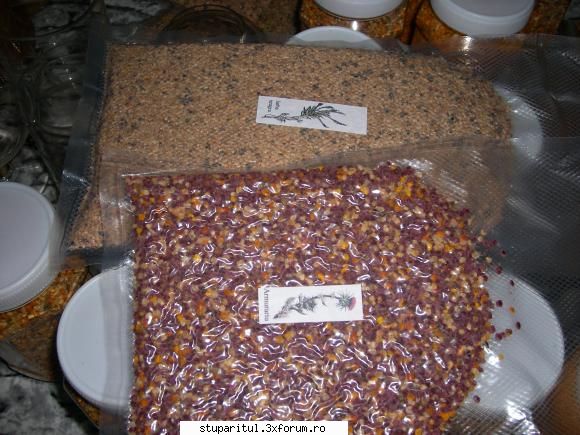 Pollen la plic - balasbebe - PRODUSELE ALBINELOR