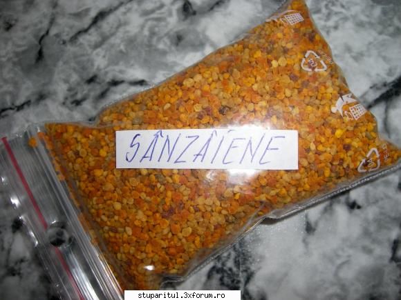 Pollen la plic - Cine face polen, poate studia si comportamentul - PRODUSELE ALBINELOR
