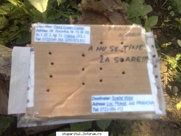 Postas neatent -> distractie de dimineata - depinde ce a scris si furnizorul - ASA NU ! POVESTI ADEVARATE !