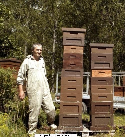 �Poveste adevarata� � Suedia 2003 - Unul care a fost devotat apiculturii - POZE