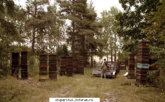 �Poveste adevarata� � Suedia 2003 - O verticala nu gluma - POZE