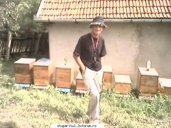 �Poveste adevarata� � Suedia 2003 - stii care e diferenta dintre noi: tu lucrezi la - POZE