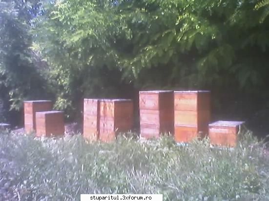 �Poveste adevarata� � Suedia 2003 - piticii mei romanestii care se vor pune din 2007 - POZE