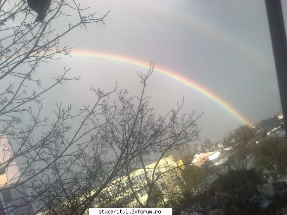 Povestea mea. - ghimpati - PAGINI PERSONALE ! CINE SUNT EU ?