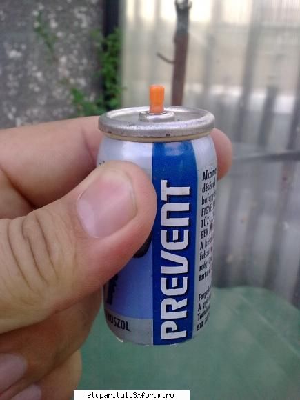 Povestea mea. - ghimpati - PAGINI PERSONALE ! CINE SUNT EU ?