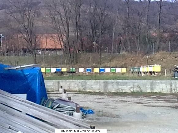 Povestea mea. - TOTU E POSIBIL in 2009 sa gidit ca vrea sa se - PAGINI PERSONALE ! CINE SUNT EU ?