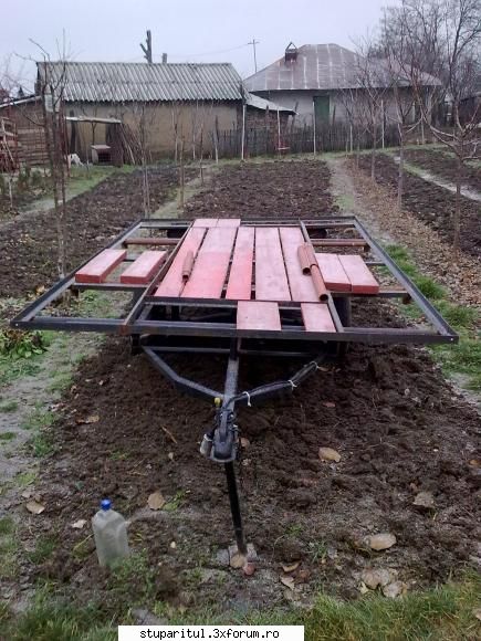 Povestea mea. - ghimpati - PAGINI PERSONALE ! CINE SUNT EU ?