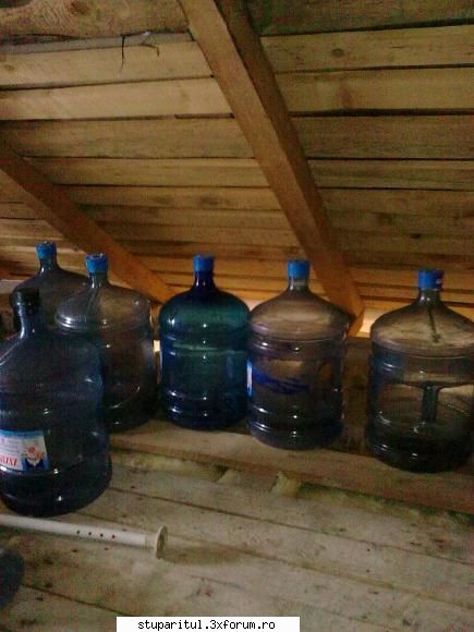 Povestea mea. - ghimpati - PAGINI PERSONALE ! CINE SUNT EU ?
