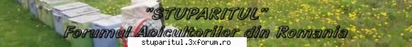 Poza de pe benarul Stuparitul - Despre poza asta zic dar cu rezolutie mai mare! - DISCUTII APICOLE DIVERSE