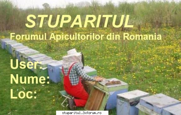 Poza de pe benarul Stuparitul - A m incercat ceva cum vi se pare????????? - DISCUTII APICOLE DIVERSE