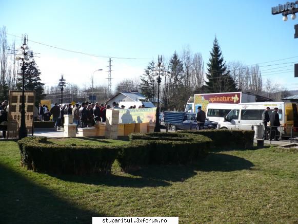 Poze de la targul de la campina - o sa pun foto sa vad daca merge - POZE