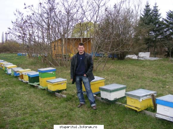 Poze targul Faget 2008 - Adyt in stupina prietenului sau Albinutza_1 - POZE