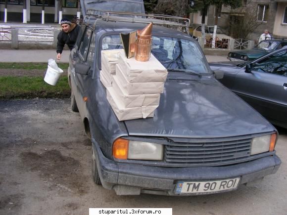 Poze targul Faget 2008 - Albinutza incarca Roi-ul - POZE