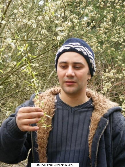 Poze targul Faget 2008 - Albinutza si salcia - POZE