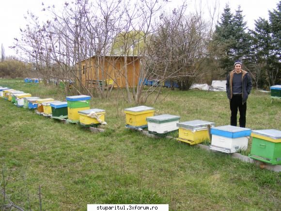 Poze targul Faget 2008 - Albinutza si stupina 1 (unul dintre cei mai buni - POZE