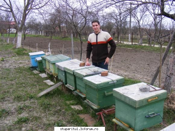 Poze targul Faget 2008 - Lucian Raban si stupina sa_1 - POZE
