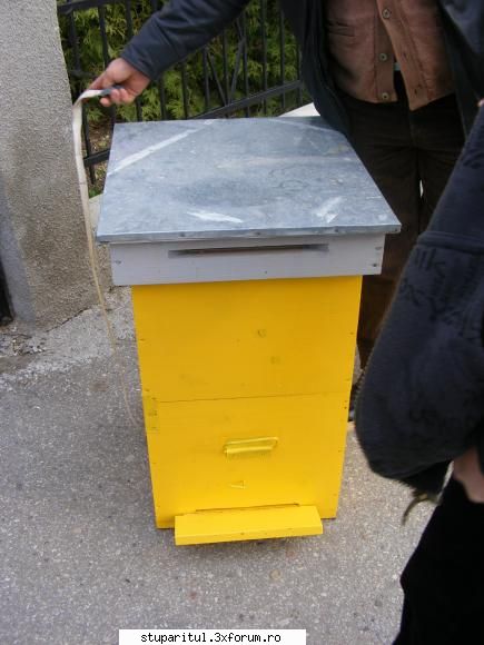 Poze targul Faget 2008 - Stup 10x1.1+ buc - POZE