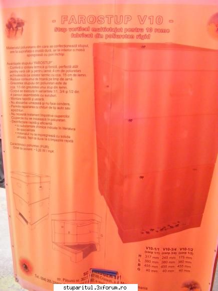 Poze targul Faget 2008 - stup poliuretan_7 - POZE