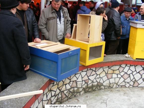 Poze targul Faget 2008 - Stupi din lemn si pfl - POZE