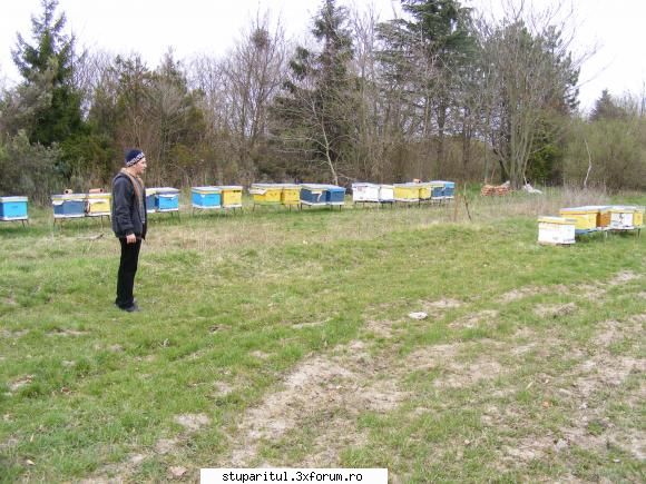 Poze targul Faget 2008 - Stupina 2 Albinutza - POZE