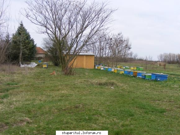 Poze targul Faget 2008 - Stupina lui Albinutza_5 - POZE