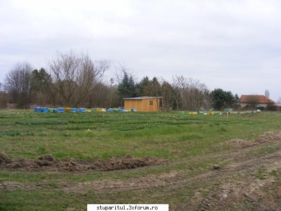 Poze targul Faget 2008 - Stupina lui Albinutza_6 - POZE