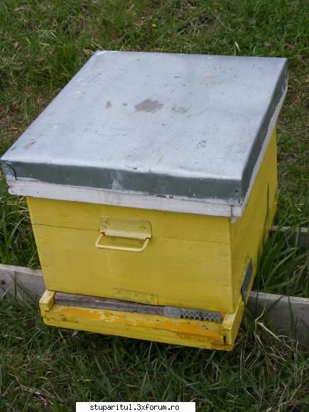 Poze targul Faget 2008 - Stupina lui Albinutza_7 - POZE
