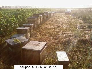 Pozele lui Bunka!! - BUNKA - POZE