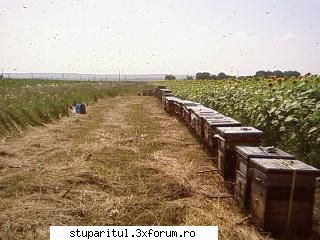 Pozele lui Bunka!! - BUNKA - POZE