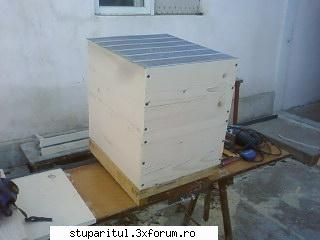 Pozele lui Bunka!! - Noii mei stupi ME - POZE