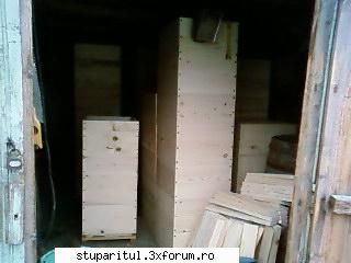 Pozele lui Bunka!! - Rama tip langstroth, inaltime cam 1m, talpici - POZE