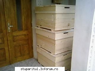 Pozele lui Bunka!! - niste orizontali facuti pt un prieten ..facut - POZE