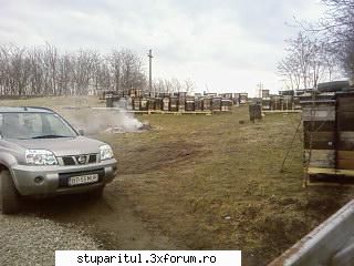 Pozele lui Bunka!! - astept temperaturi mai bune si primul polen - POZE