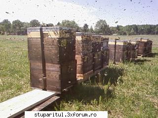 Pozele lui Bunka!! - BUNKA - POZE