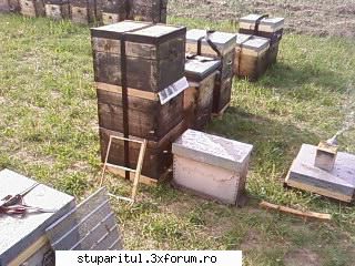 Pozele lui Bunka!! - eeee....si-am trecut la "artificii" - POZE