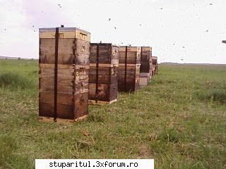 Pozele lui Bunka!! - sa traiasca nea Malaiu, suedezii si toti cei care - POZE