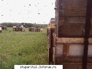 Pozele lui Bunka!! - zbor intens la toate nivelele - POZE