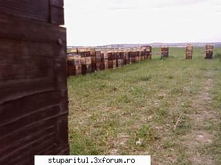 Pozele lui Bunka!! - incet incet au ramas 41 din 50 si nnu din cauza - POZE