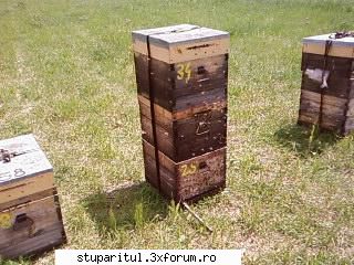 Pozele lui Bunka!! - trei urdinise...intrati fetelor pe unde poftiti - POZE