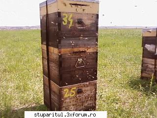 Pozele lui Bunka!! - si inca una de la mine - POZE